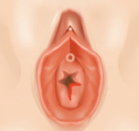 ȸÀ½Ã¼