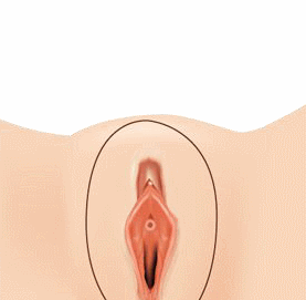 ȸÀ½Ã¼