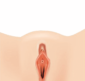 ȸÀ½Ã¼