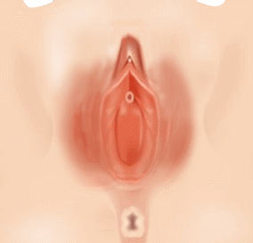 ȸÀ½Ã¼