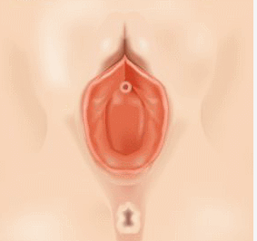 À½ÇÙ °Å»ó¼ú
