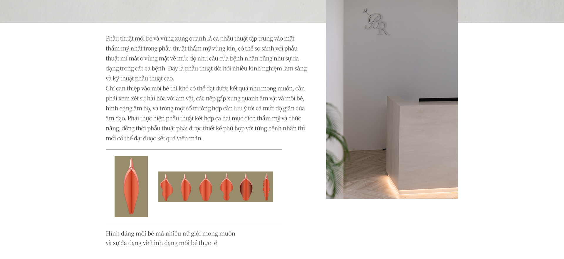 ������/���� ����