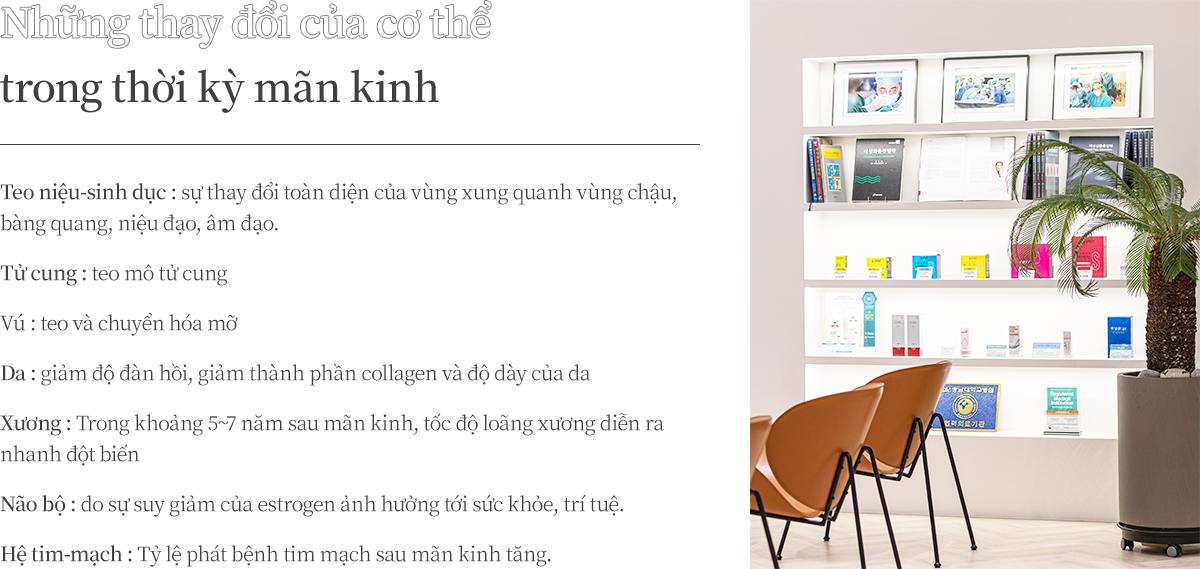 ������� ��ü��ȭ